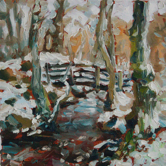 Lake District Winter