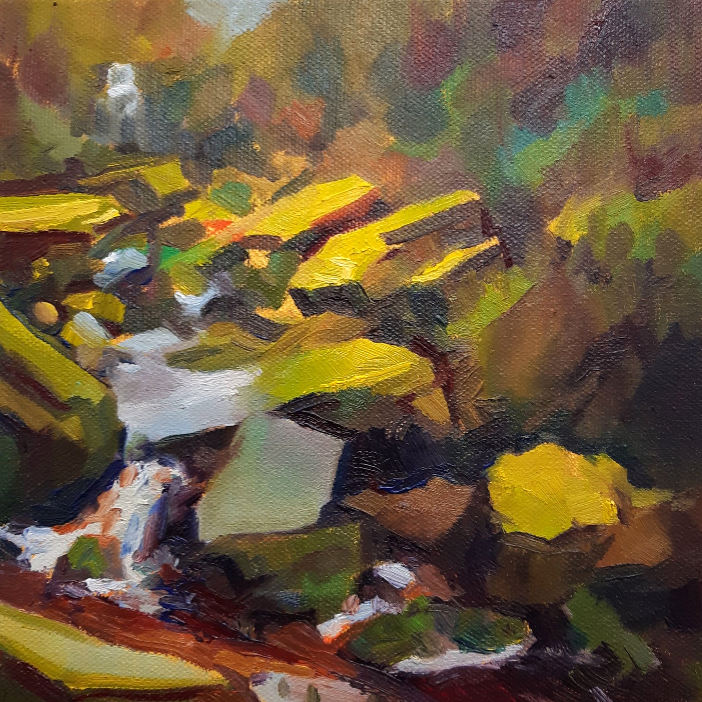 Middle Black Clough