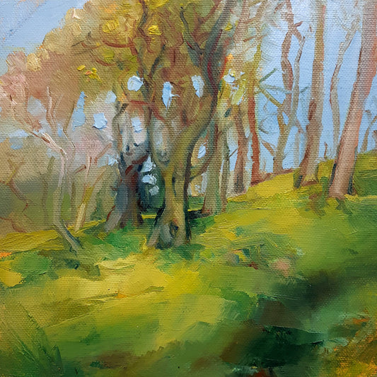 Silverdale Beach Trees