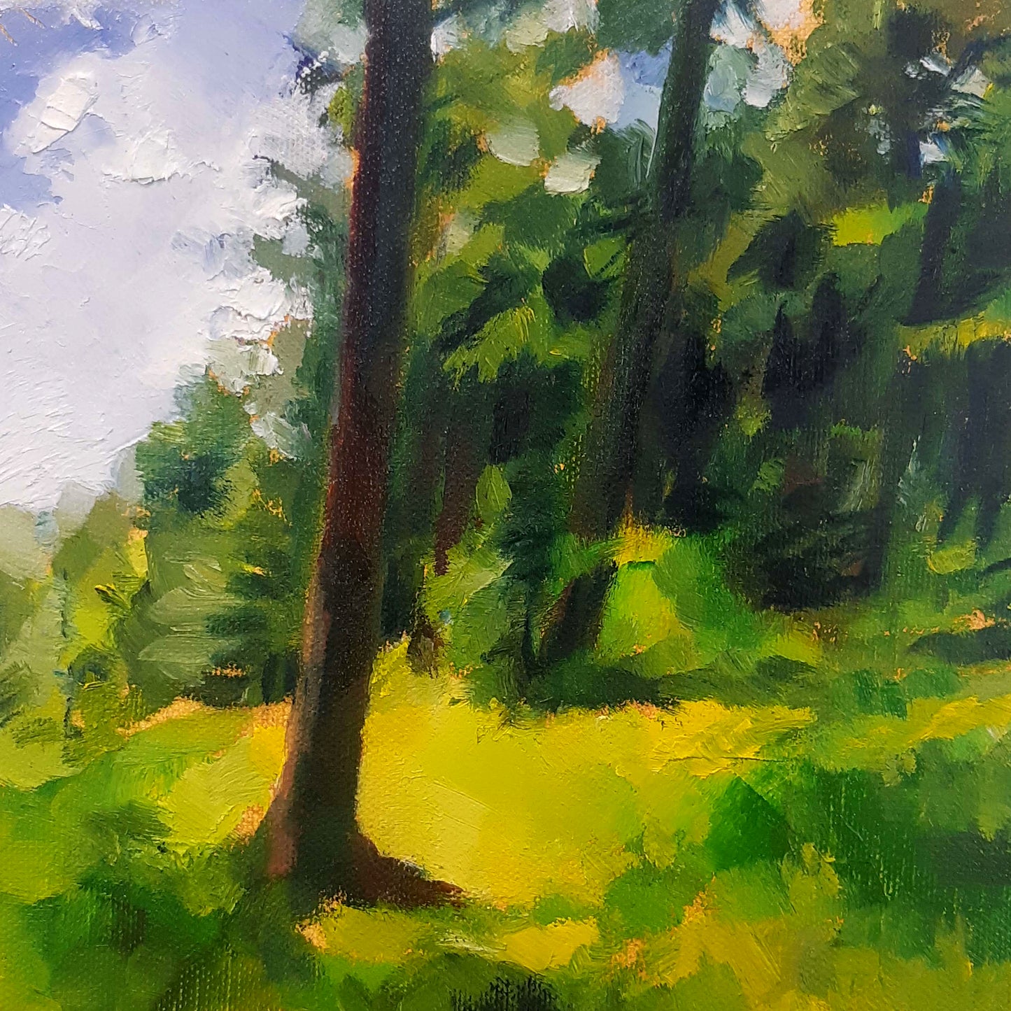 Macclesfield Forest, 20x20cm