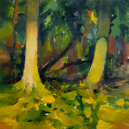Leigh Woods Golden Light