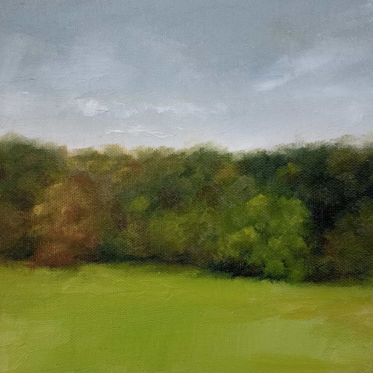Quarry Bank Mill Treeline