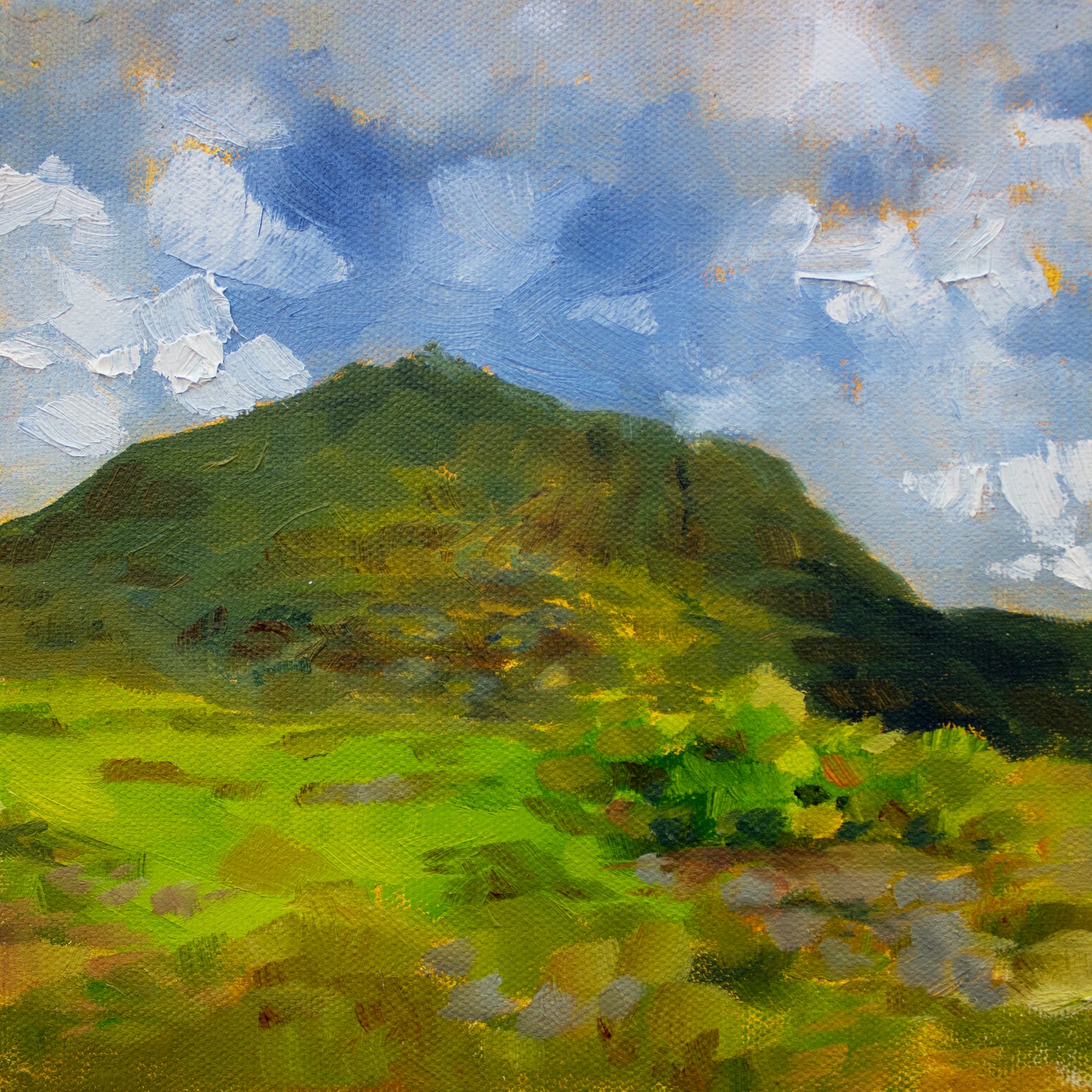 SOLD Y Foel Goch