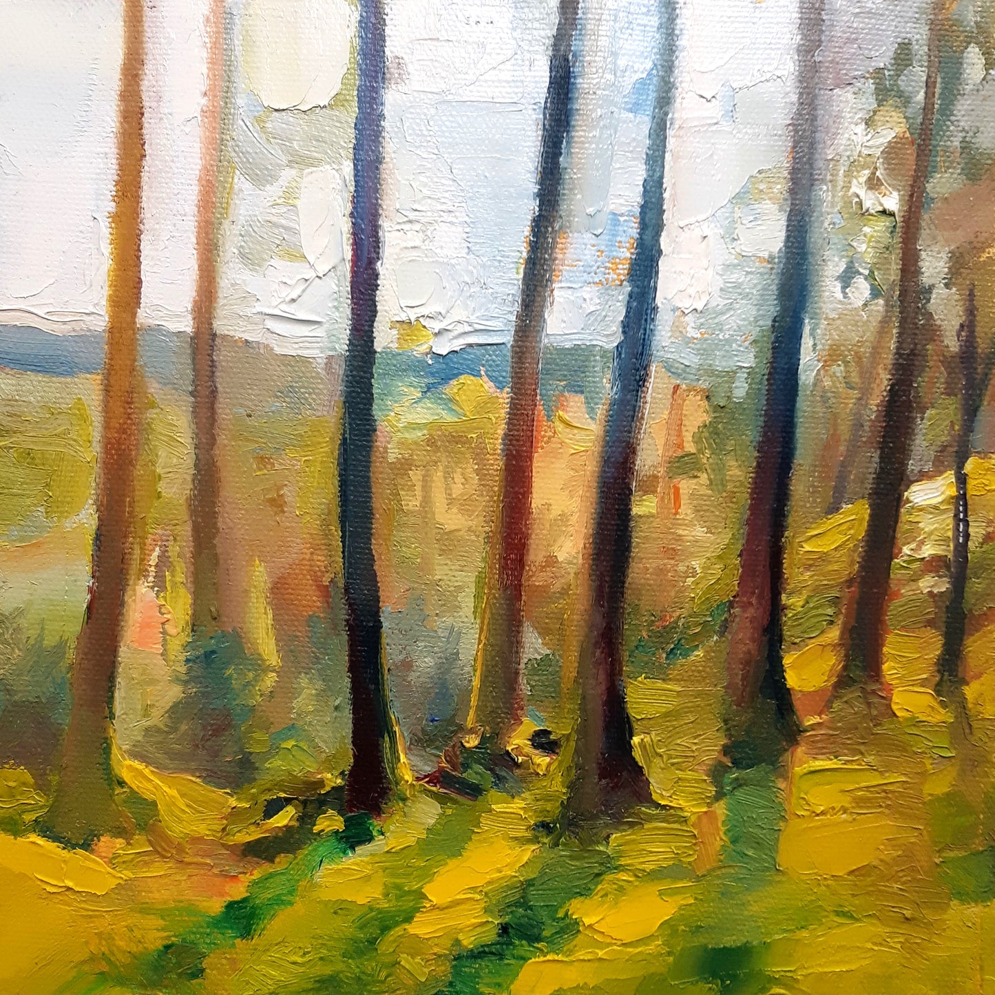 Macclesfield Forest