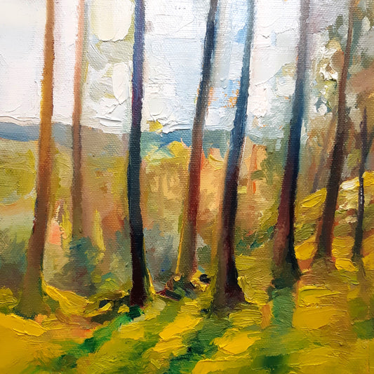 Macclesfield Forest